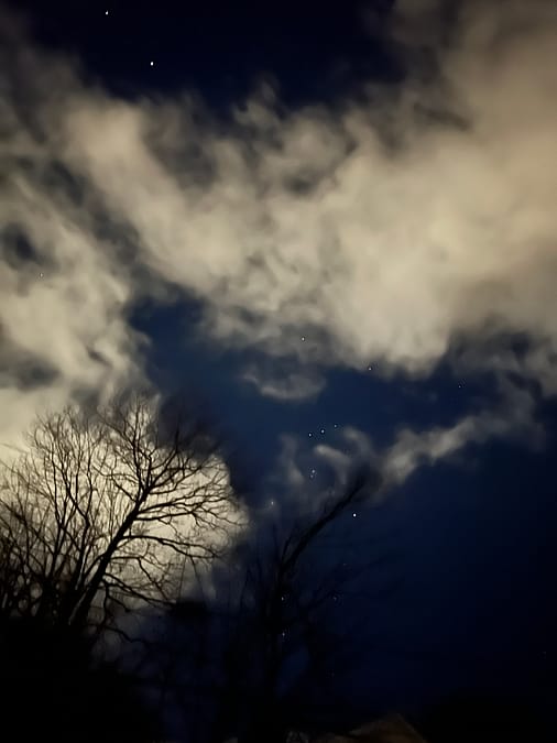 The Stars are Singing