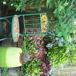 Outdoor seating surrounded by multiple layers of flowering shrubs and annuals.