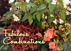 FabulousCombinations