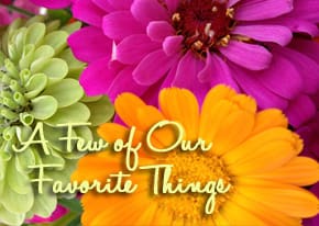 AFewofOurFavoriteThings