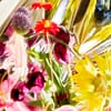 Love is Just Dead Flowers (series of 5) - Image 4