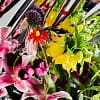 Love is Just Dead Flowers (series of 5)