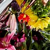 Love is Just Dead Flowers (series of 5) - Image 3