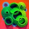 Green Eons