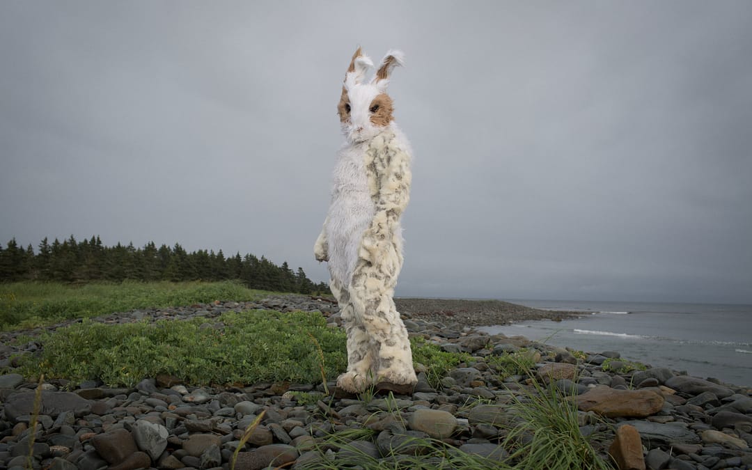 Gitana Rosa presents “Soft Stories” by Laura Jane Petelko