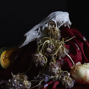 Flower arrangement II