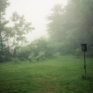 Karen Epstein - Birdhouse