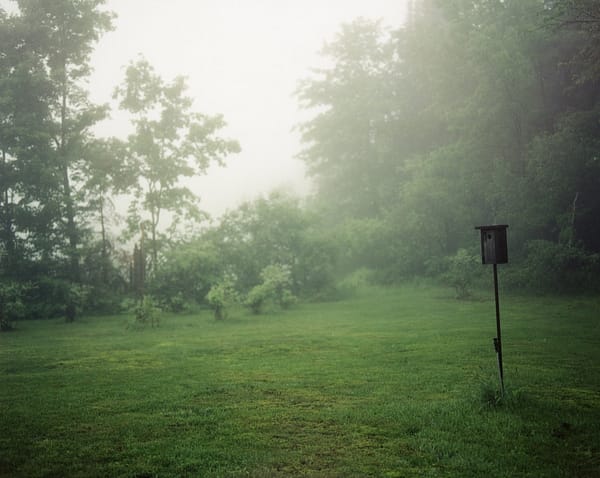 Karen Epstein - Birdhouse